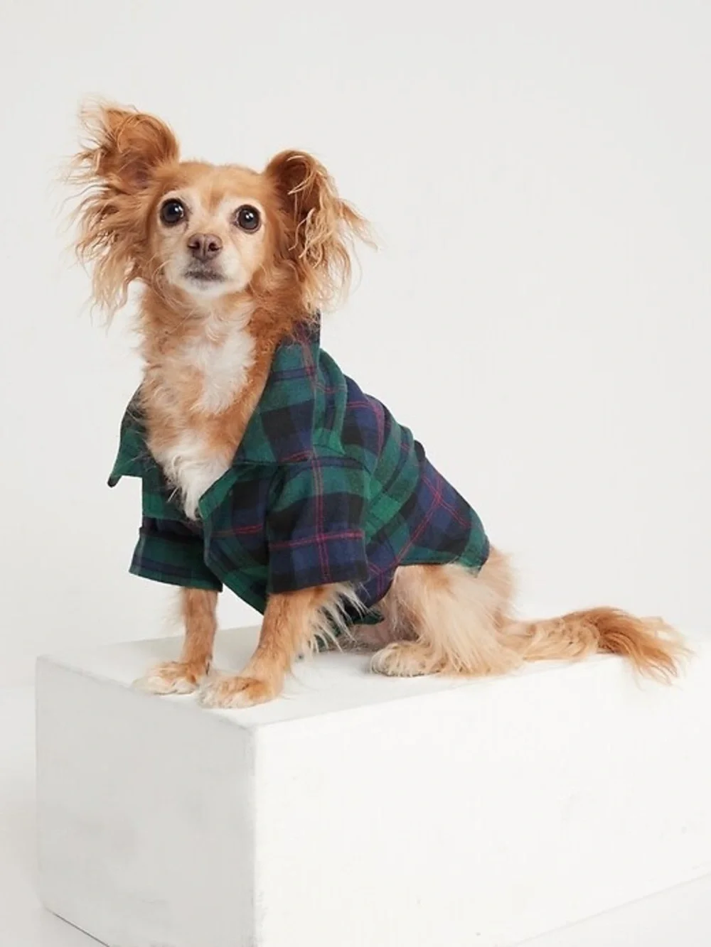 Old Navy Flannel Plaid Dog Shirt in‎ Green and Navy Size Large